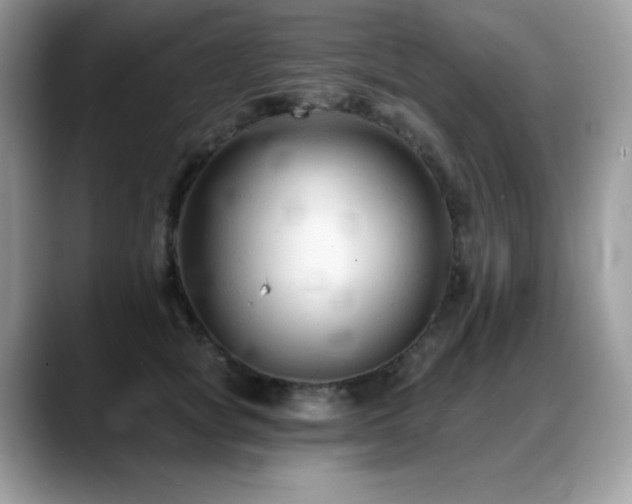 X0000088920757200706081359