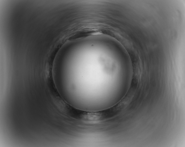 X0000088920758200706081359