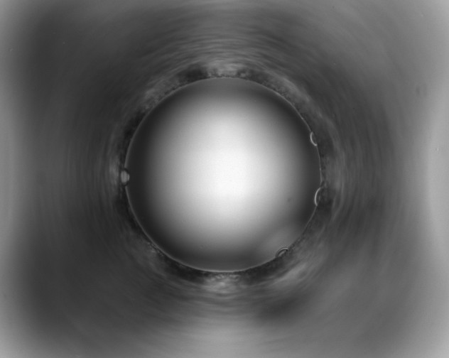 X0000088920761200706081359
