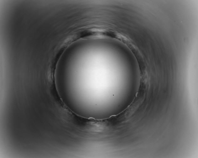 X0000088920763200706081359