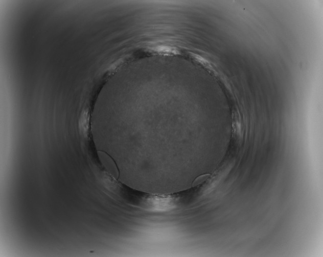 X0000088920767200706081359
