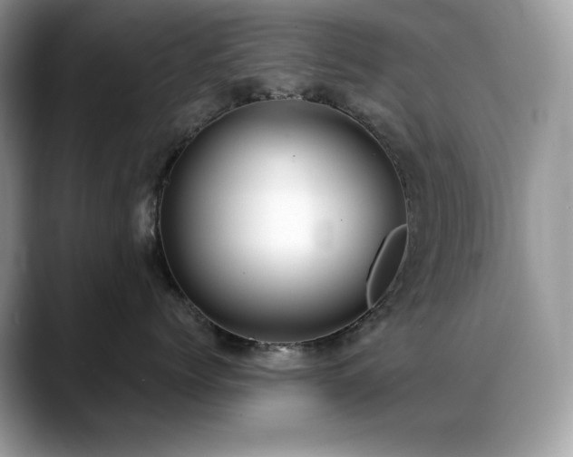X0000088920768200706081359