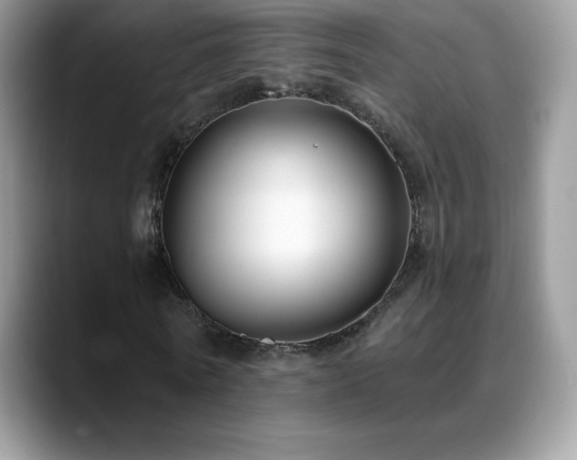 X0000088920770200706081359