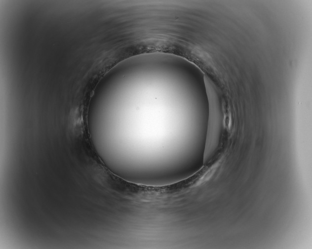 X0000088920771200706081359