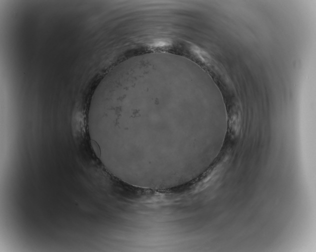 X0000088920772200706081358