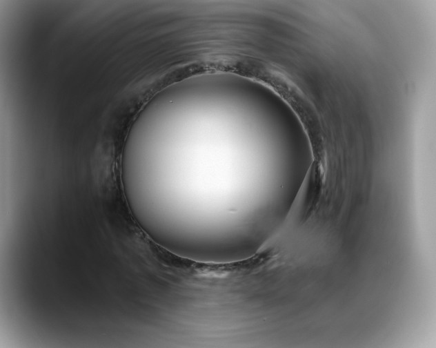 X0000088920773200706081358