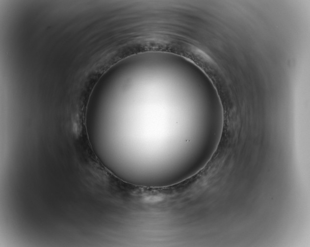 X0000088920774200706081358