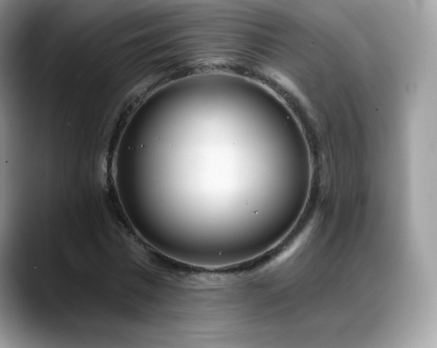 X0000088920777200706081358