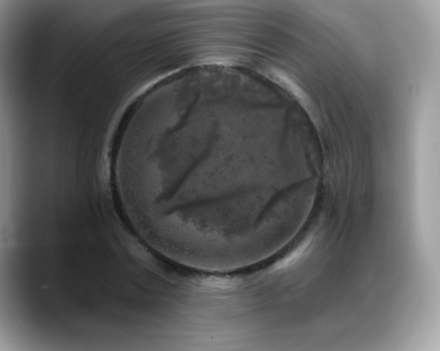 X0000088920779200706081358