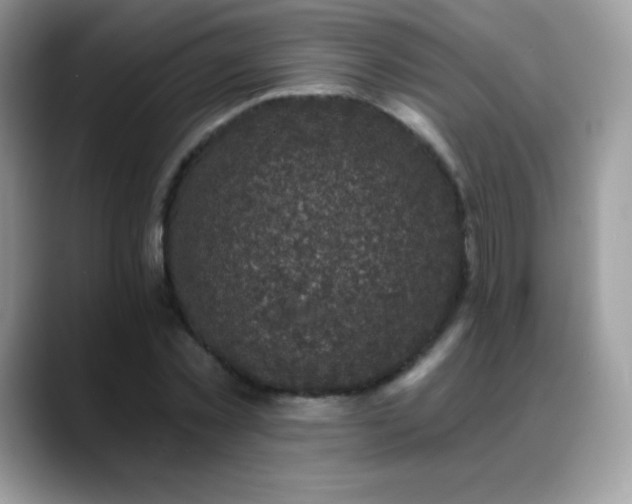 X0000088920781200706081358