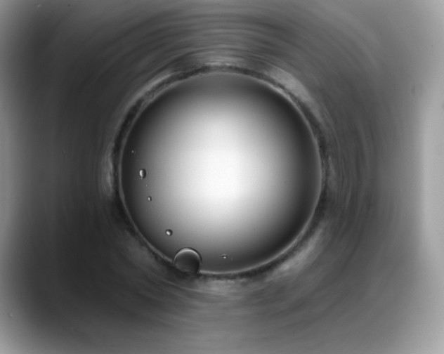 X0000088920782200706081358