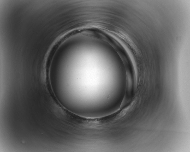 X0000088920784200706081358