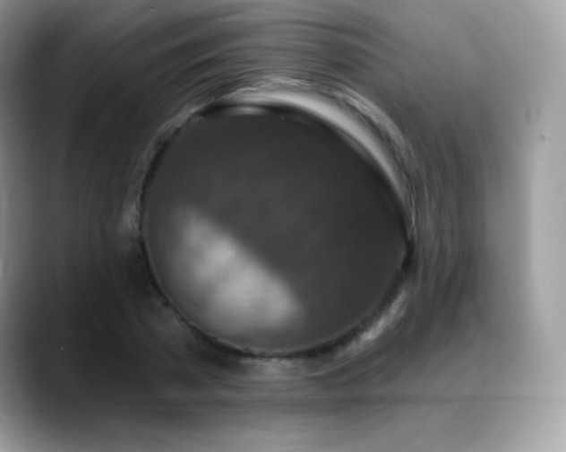 X0000088920785200706081358