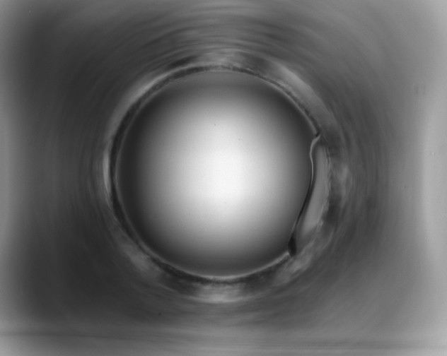 X0000088920788200706081358