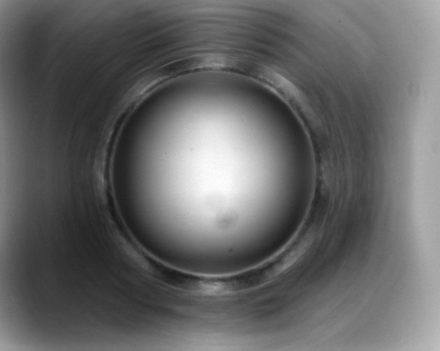 X0000088920794200706081358