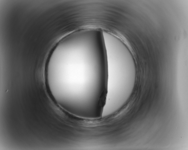 X0000088920795200706081358