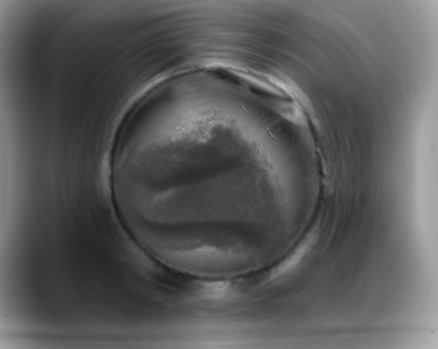 X0000088920798200706081358