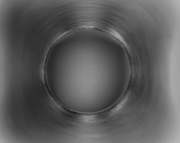X0000088920802200706081358