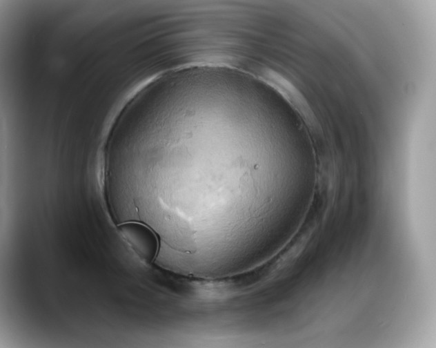 X0000088920804200706081358