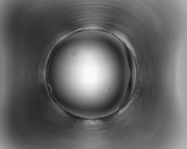 X0000088920805200706081358