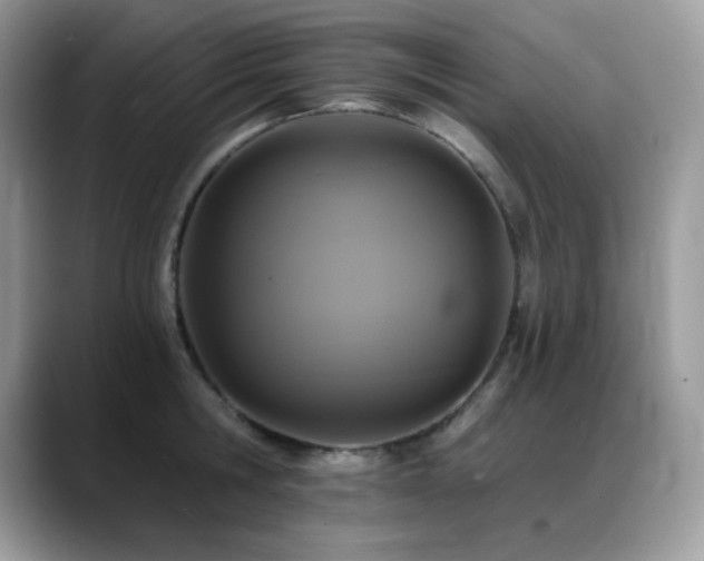 X0000088920806200706081358