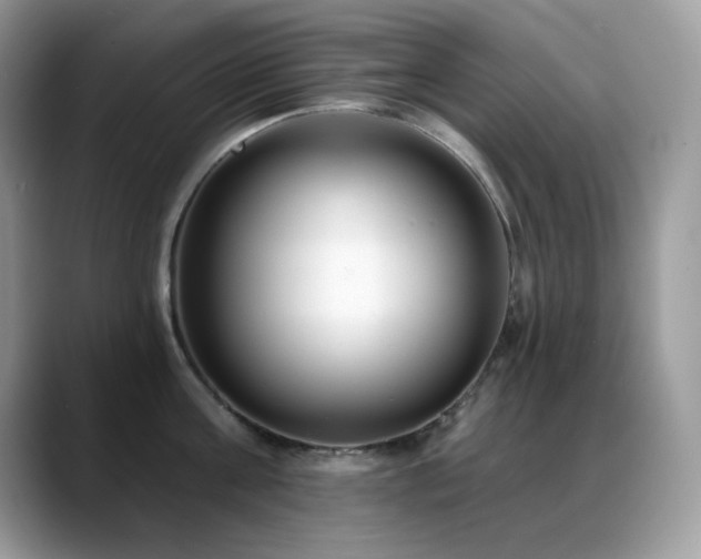 X0000088920811200706081358