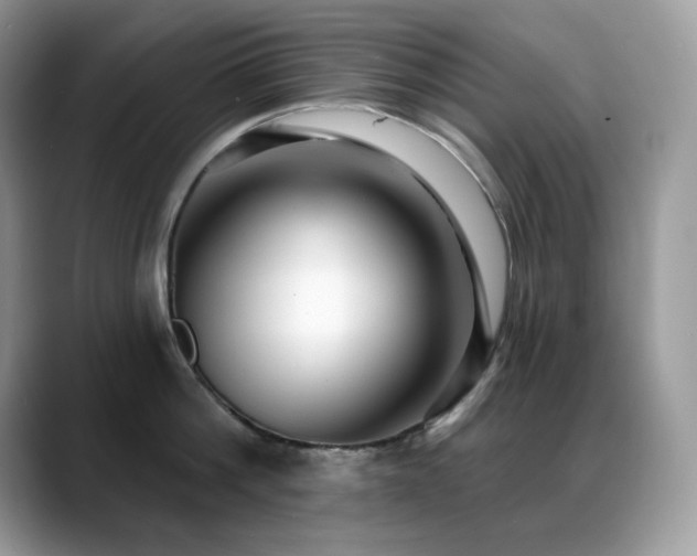 X0000088920812200706081358