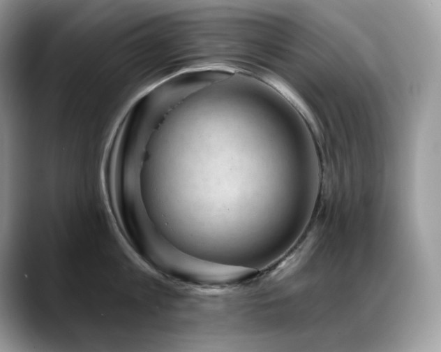 X0000088920813200706081358