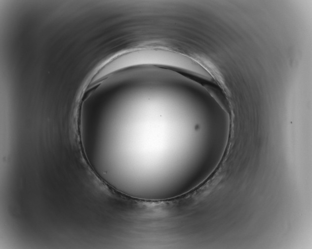 X0000088920816200706081358