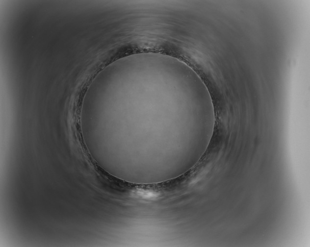 X0000088920817200706081357