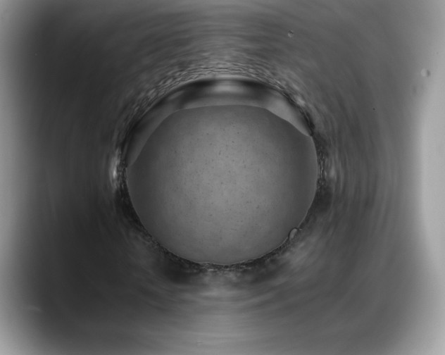 X0000088920818200706081357