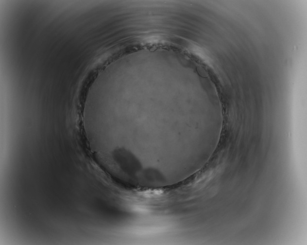 X0000088920823200706081358
