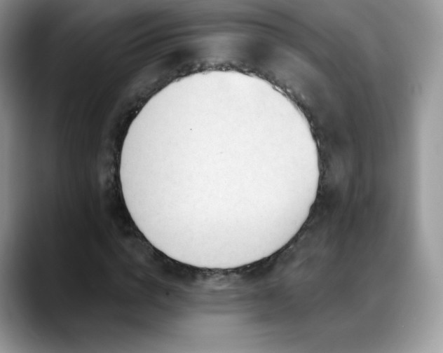 X0000088920824200706081358