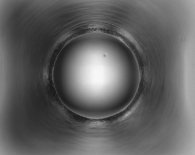 X0000088920826200706081358