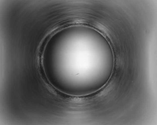 X0000088920827200706081358