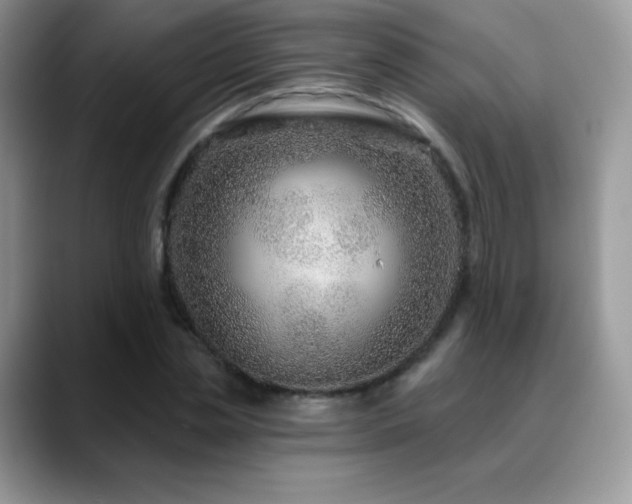 X0000088920829200706081358
