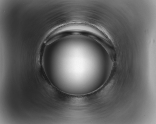 X0000088920830200706081358