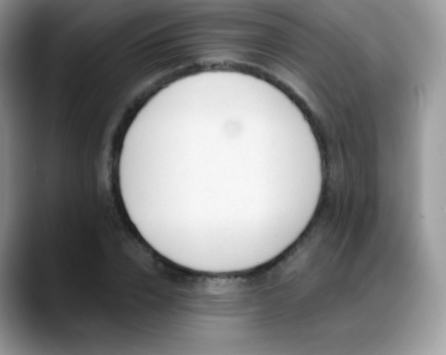 X0000088920832200706081358