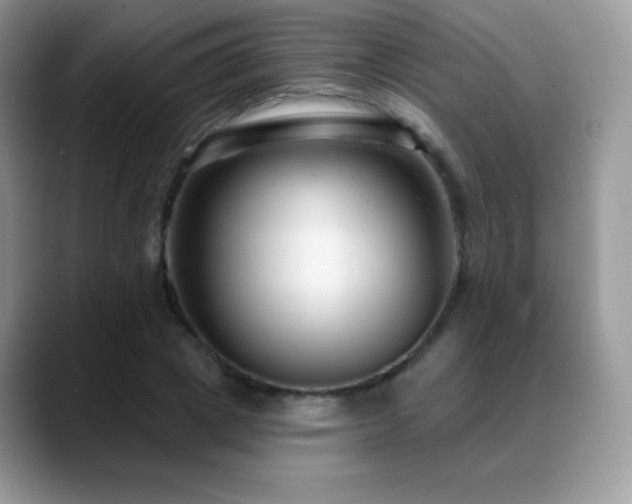 X0000088920833200706081358