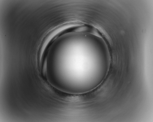 X0000088920834200706081358