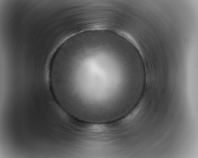 X0000088920835200706081358
