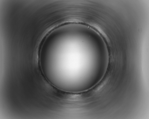 X0000088920837200706081358