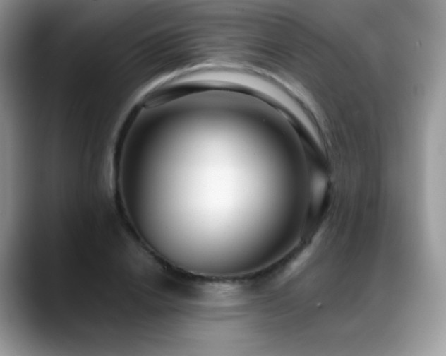 X0000088920838200706081358