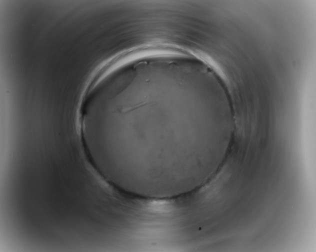 X0000088920839200706081358