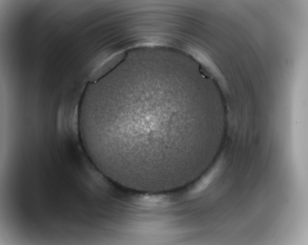 X0000088920842200706081358