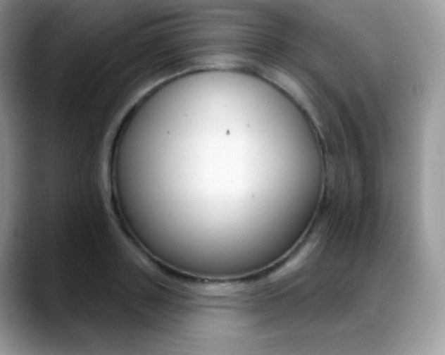 X0000088920843200706081358