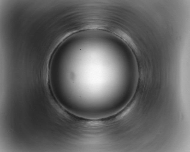 X0000088920844200706081358