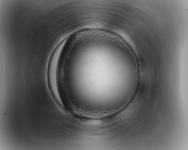 X0000088920845200706081358