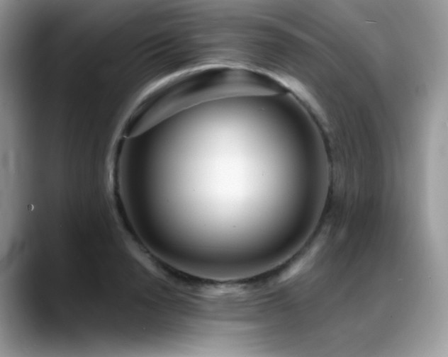 X0000088920846200706081358