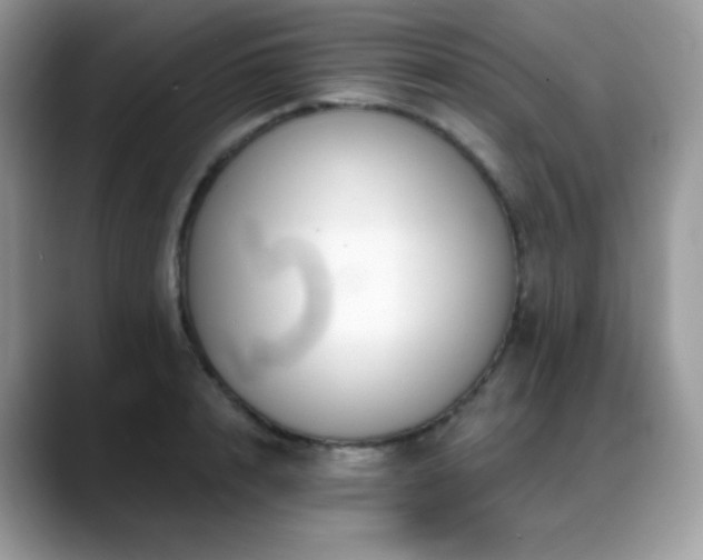 X0000088920848200706081358